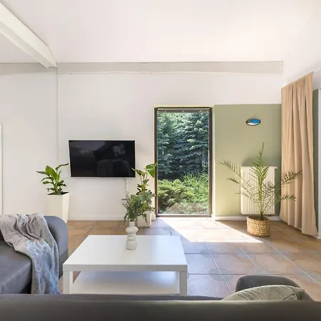 Forest - W Poblizu Suntago