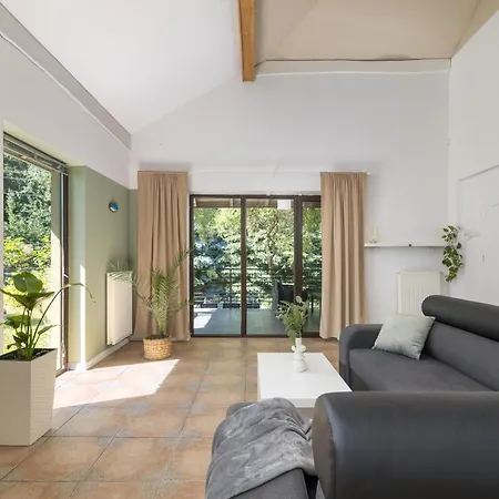 Forest - W Poblizu Suntago Krzyzowka (Zyrardow)