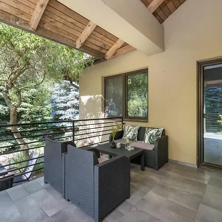 Forest - W Poblizu Suntago * Krzyzowka (Zyrardow)