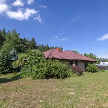 Forest - W Poblizu Suntago