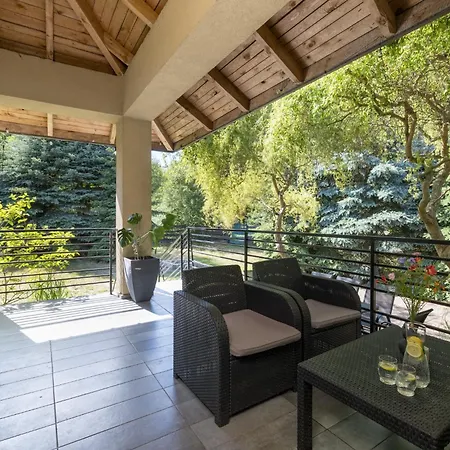 Homestay Forest - W Poblizu Suntago Krzyzowka (Zyrardow)