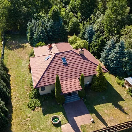 Homestay Forest - W Poblizu Suntago