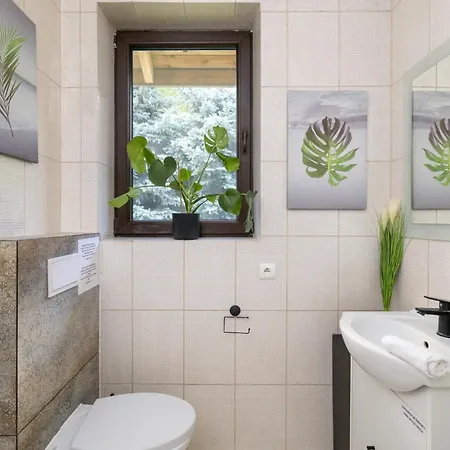 Forest - W Poblizu Suntago Krzyzowka (Zyrardow)